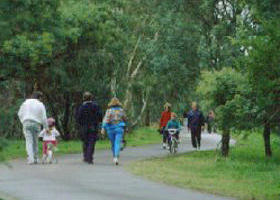Birrarrung Park - Holiday Sunshine Coast 0