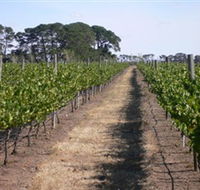 Mount Beckworth Wines - Sunshine Coast Tourism