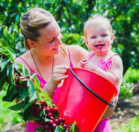 Cherryhill Orchards - Sunshine Coast Tourism