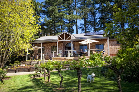 Main Ridge Estate - Sunshine Coast Tourism 2