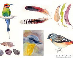 Pebbles And Pods - Sunshine Coast Tourism 0