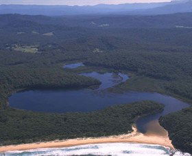 Timbertops - Horse Riding - Sunshine Coast Tourism 0