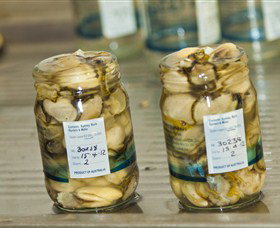 Nethercote NSW Holiday Sunshine Coast