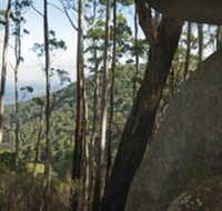 Gulaga National Park