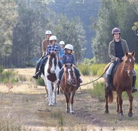 Horse Riding at Oaks Ranch and Country Club - Sunshine Coast Tourism