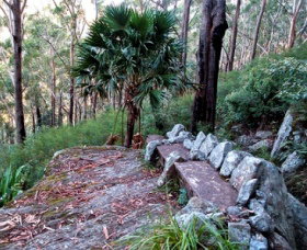 Wodi Wodi Walking Track - Sunshine Coast Tourism 0