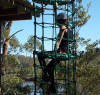Trees Adventure Shoalhaven - Sunshine Coast Tourism
