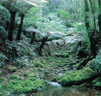 Deua National Park