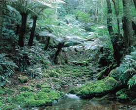 Deua National Park - Holiday Sunshine Coast 0