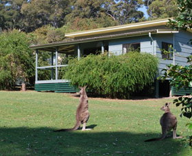 Murramarang National Park - Holiday Sunshine Coast 0