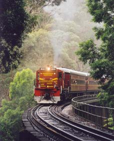 Cockatoo Run - Scenic Tour Train Operated By 3801 Limited - Holiday Sunshine Coast 0