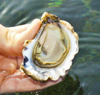 The Oyster Pot - Sunshine Coast Tourism