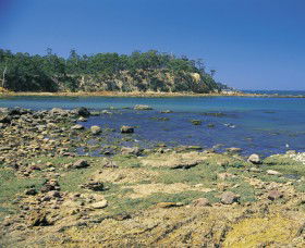 Aslings Beach - Sunshine Coast Tourism 0