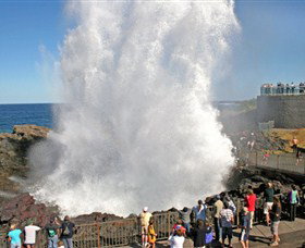 Kiama Blowhole - Holiday Sunshine Coast 0