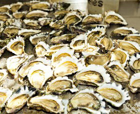 Wheelers Oysters - Sunshine Coast Tourism 0