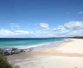 Beach Art Gallery - Holiday Sunshine Coast 0