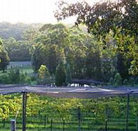 Lyrebird Ridge Organic Winery - Sunshine Coast Tourism