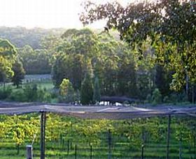 Lyrebird Ridge Organic Winery - Holiday Sunshine Coast 0