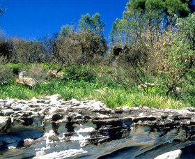 Abrahams Bosom Reserve - Holiday Sunshine Coast 0