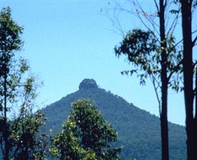 Pigeon House Tea Rooms - Holiday Sunshine Coast 0