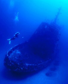 Merimbula Divers Lodge - Sunshine Coast Tourism 0