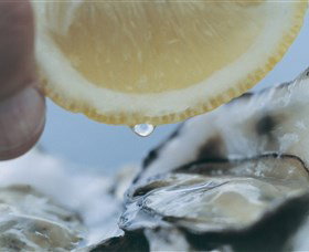 Pearly Oyster Bar And Farm - Holiday Sunshine Coast 0