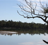 North Coast Holiday Parks Boambee Creek Reserve - Sunshine Coast Tourism