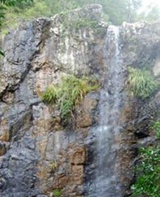 Wedding Bells Forest Drive - Holiday Sunshine Coast 0
