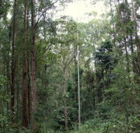 Bongil Bongil National Park - Holiday Sunshine Coast