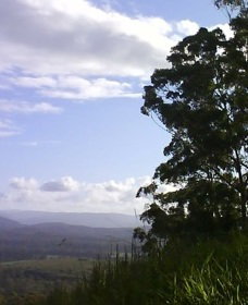 Sherwood Nature Reserve - Holiday Sunshine Coast 0