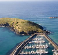 Muttonbird Island Nature Reserve - Sunshine Coast Tourism