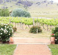 Brindabella Hills Winery - Sunshine Coast Tourism