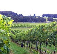 Banjo's Run Winery and Vineyard - Sunshine Coast Tourism