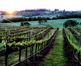 Philip Shaw Wines - Sunshine Coast Tourism 1