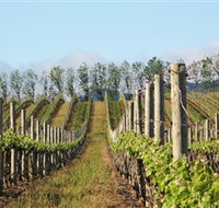 Philip Shaw Wines - Sunshine Coast Tourism