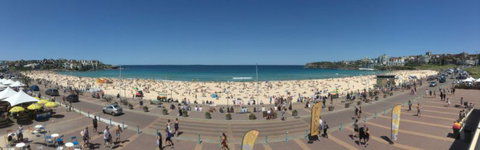 Real Sydney Tours - Sunshine Coast Tourism 2