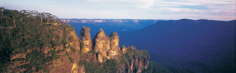 Real Sydney Tours - Sunshine Coast Tourism 3