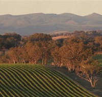 Angullong Wines - Sunshine Coast Tourism