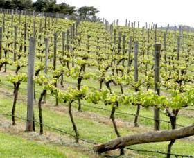 Bantry Grove - Sunshine Coast Tourism 0