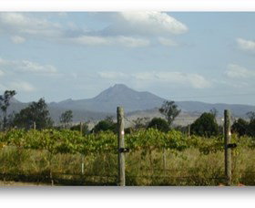 Ironbark Ridge Vineyard - Sunshine Coast Tourism 0