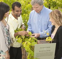 Jacob's Creek Vineyard Tour - Sunshine Coast Tourism