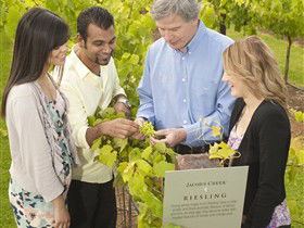 Jacob's Creek Vineyard Tour - Holiday Sunshine Coast 0