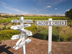 Jacob's Creek Vineyard Tour - Holiday Sunshine Coast 1