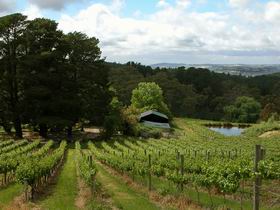 Arranmore Wines - Sunshine Coast Tourism 0