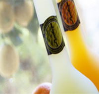 Ambra Limoncello - Sunshine Coast Tourism