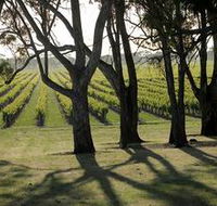 Henry's Drive Vignerons - Holiday Sunshine Coast