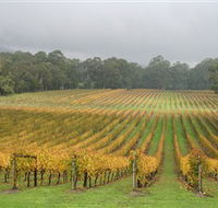 Boat O'Craigo Wines - Sunshine Coast Tourism