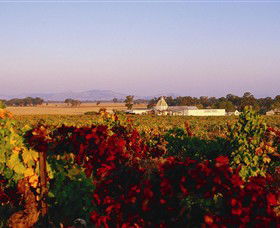 Morris Wines - Holiday Sunshine Coast 0