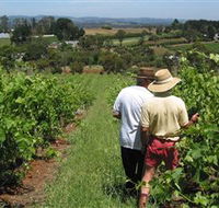 Sir Paz Estate - Sunshine Coast Tourism