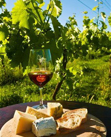 King River Estate - Sunshine Coast Tourism 3